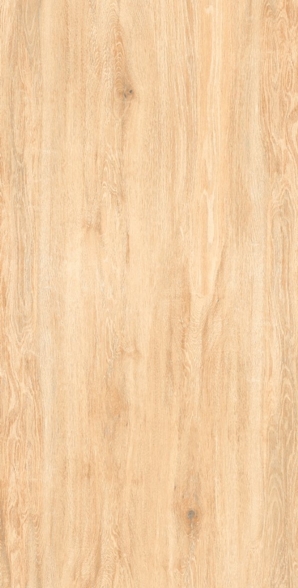 image_not_found